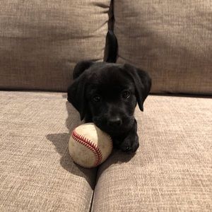 Meet your Posher, Dana